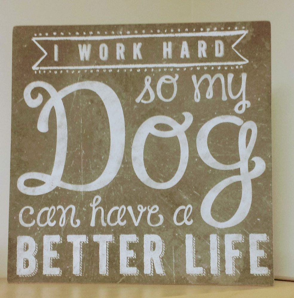 COMPANION PET CLINIC Updated September 2024 801 S 1st St, Hamilton