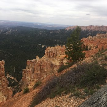 Rainbow Point - Landmarks & Historical Buildings Near Me - Bryce, Utah