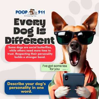 POOP 911 - Houston - Dog Walkers Near Me POOP 911 - Houston - Dog Walkers Near Me