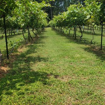 Cloudland Vineyards and Winery - Wineries Near Me - Buford, Georgia Cloudland Vineyards and Winery - Wineries Near Me - Buford, Georgia