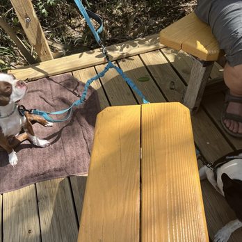 Crab Shack - Dog friendly - Seafood Near Me - Port Richey, Florida