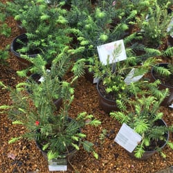 Quality Landscape & Garden Center