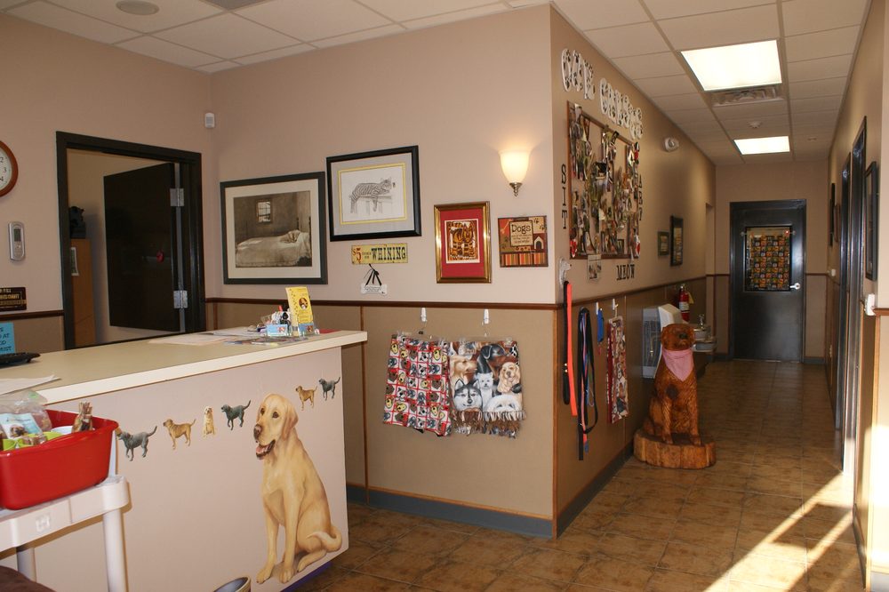LYNWOOD KENNEL Updated October 2024 20 Photos 85 Lynwood Ln