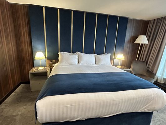The Savoy Hotel Limerick by null