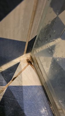 Kimpton De Witt Hotel by null Kimpton De Witt Hotel by null