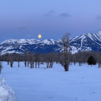 Jackson Hole Wildlife Safaris - Tours Near Me - Jackson, Wyoming