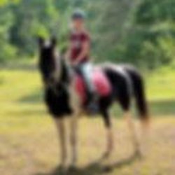 Magic Mountain Farm