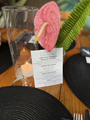 Common Ground Kauai by null