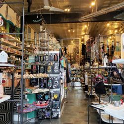 Everything Elmwood - Inside Everything Elmwood in Elmwood Village