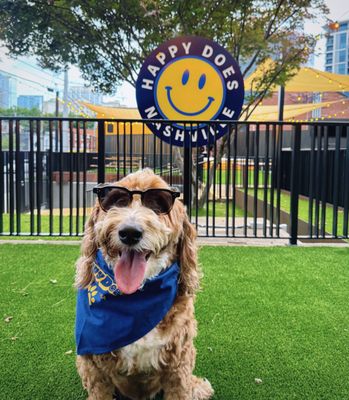 Happy Does Nashville by null