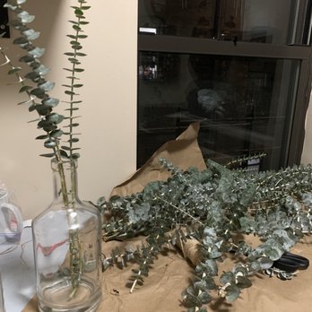 Plantshed - Eucalyptus bundle - Coffee & Tea Near Me - New York, New York Plantshed - Eucalyptus bundle - Coffee & Tea Near Me - New York, New York
