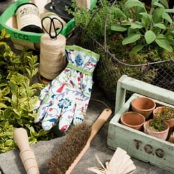 The Chelsea Gardener