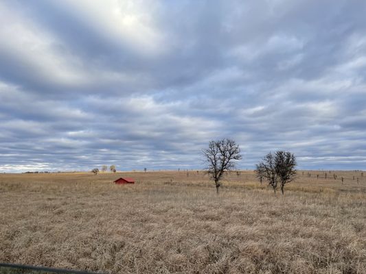 Joseph H. Williams Tallgrass Prairie Preserve by null