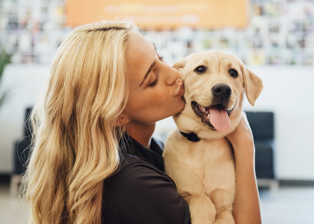 Dogtopia - pet boarding facility in La Vista, NE