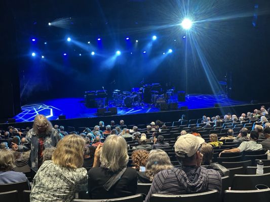 The Magnolia by null