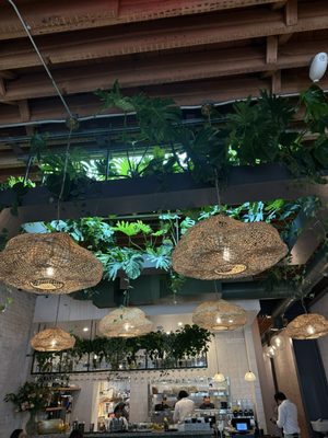 Corazon Cocina VTA by null