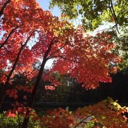 Fall beauty at camp.