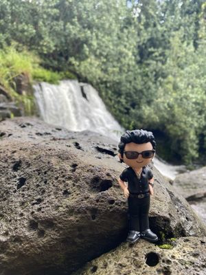 Ho'opi'i Falls by null