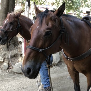Circle Bar B Stables - Horseback Riding Near Me - Santa Barbara, California Circle Bar B Stables - Horseback Riding Near Me - Santa Barbara, California