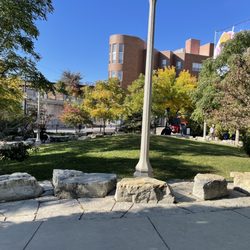 Park No 567