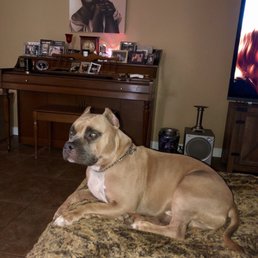 Maximus Maximus