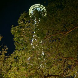 Space Needle from our room