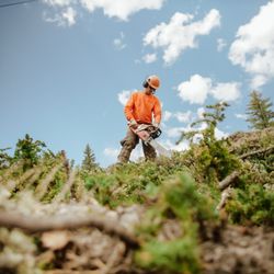 Integrity Tree Services