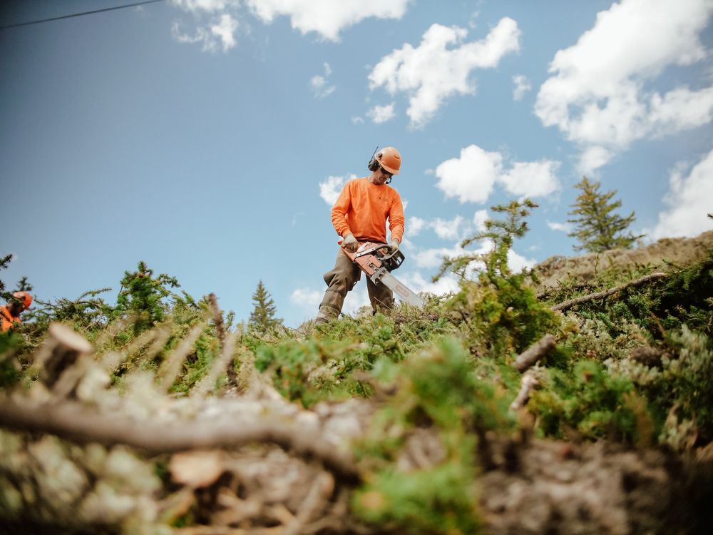 INTEGRITY TREE SERVICES - Updated March 2026 - 26 Photos - 2300 Sanford ...