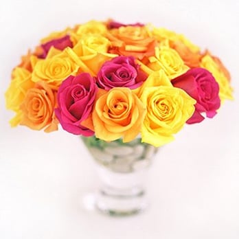 Hilary Miles Flowers - Florists Near Me - Vancouver, British Columbia Hilary Miles Flowers - Florists Near Me - Vancouver, British Columbia