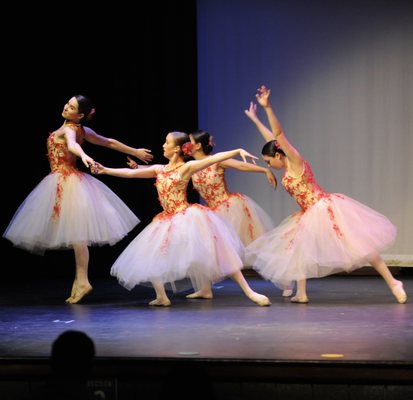 The Dance Conservatory