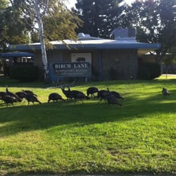 Birch Lane Elementary School