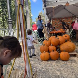 Fall Festival At the Farmers Market - Table to decorate pumpkins