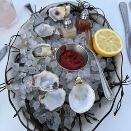 Oysters