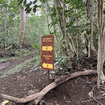 Maunawili Ditch Trail - Hiking Near Me - Waimanalo, Hawaii Maunawili Ditch Trail - Hiking Near Me - Waimanalo, Hawaii