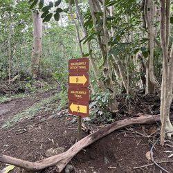 Maunawili Ditch Trail