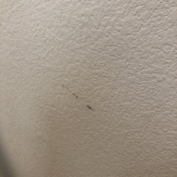 Ashley Store - Scratched the wall going up the stairs - Furniture Stores Near Me - Roseville, California
