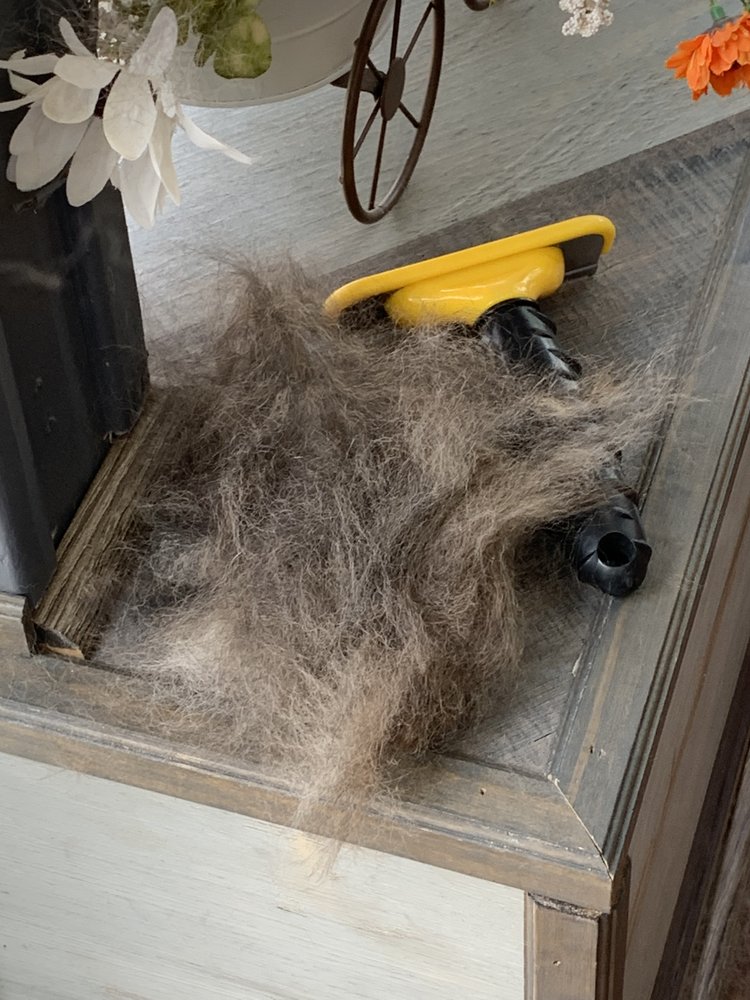 PUPPY LOVE DOG GROOMING Updated September 2024 19 Photos & 22