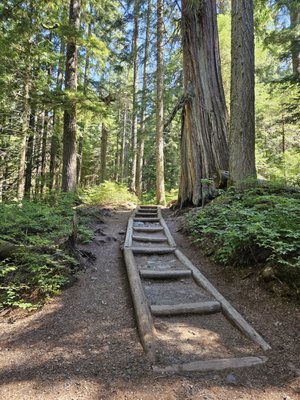 Franklin Falls Trailhead by null