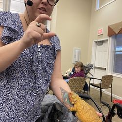 Autumn's Exotic Animals - Autumn doing a presentation at an assisted living facility  Fiona the bearded dragon