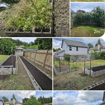 Sanchez Cleanscape Services - Before and after pictures of our backyard -the transformation is absolutely night and day! - Landscaping Near Me - Federal Way, Washington Sanchez Cleanscape Services - Before and after pictures of our backyard -the transformation is absolutely night and day! - Landscaping Near Me - Federal Way, Washington