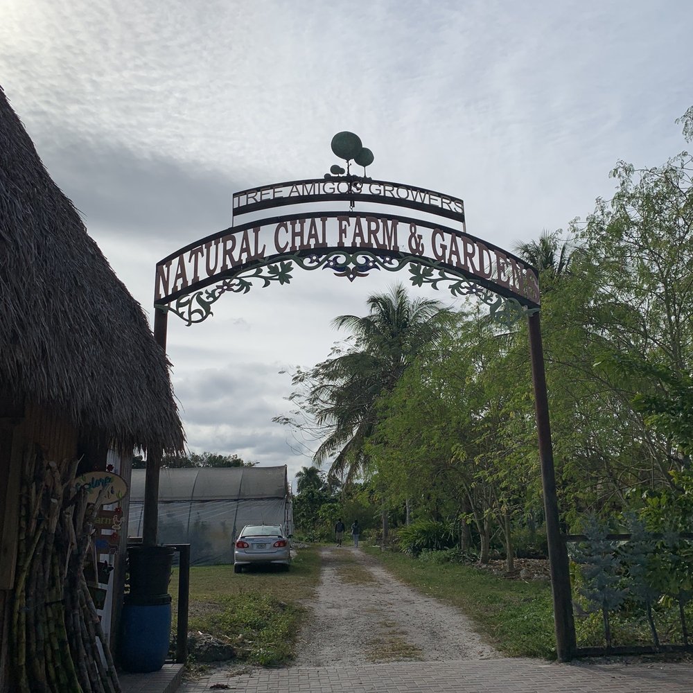 Tree Amigos Growers - Entrance - Nurseries & Gardening Near Me - Davie, Florida Tree Amigos Growers - Entrance - Nurseries & Gardening Near Me - Davie, Florida