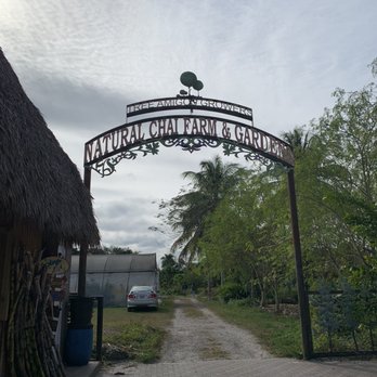 Tree Amigos Growers - Entrance - Nurseries & Gardening Near Me - Davie, Florida Tree Amigos Growers - Entrance - Nurseries & Gardening Near Me - Davie, Florida