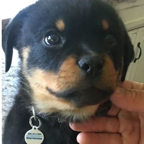 Slide of Mike's Sewer and Drain Service