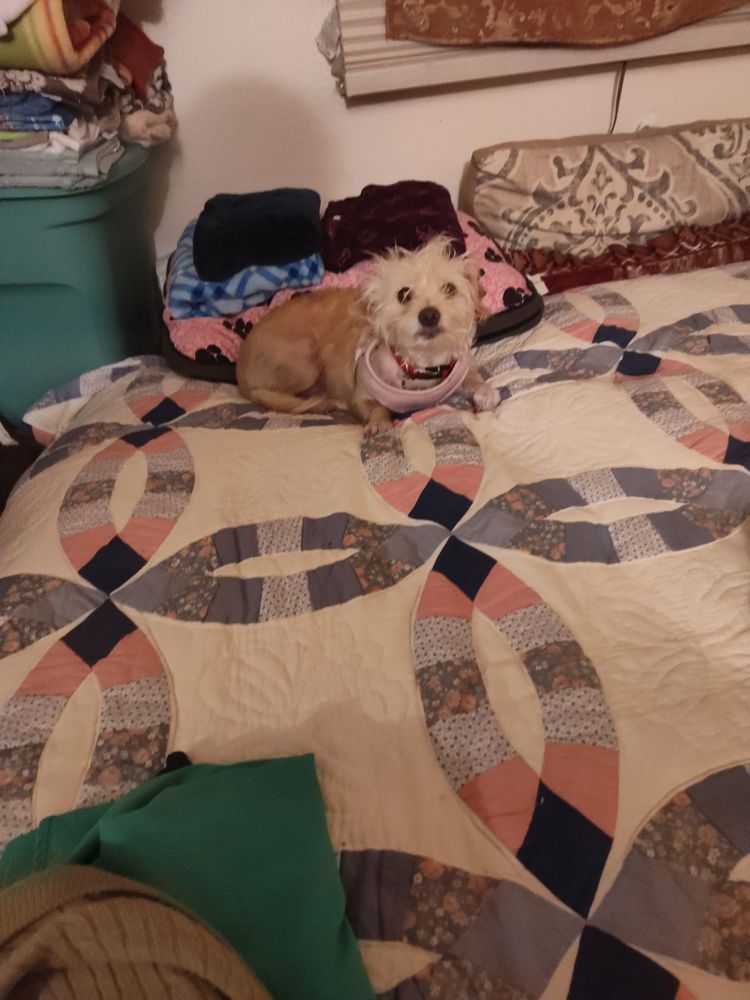 FRY’S MARKET AND RENTALS Updated May 2024 40 Photos & 36 Reviews