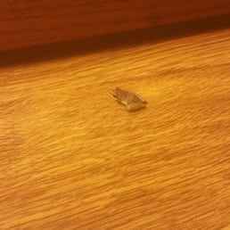 Oh hey little buddy Oh hey little buddy