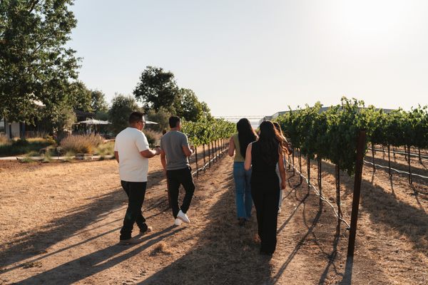 J. Lohr Vineyards & Wines by null