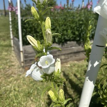 Killdeer Farms - Farms Near Me - West Sacramento, California