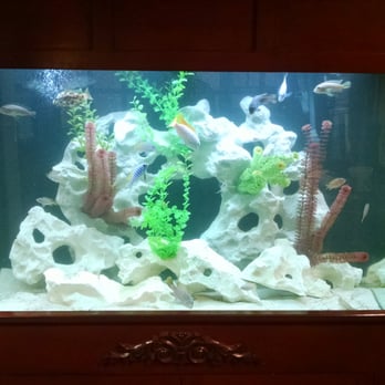Total Aquariums - Aquarium Services Near Me