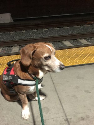 Claudia's Cafe by null