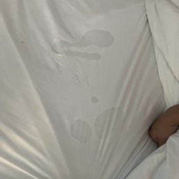 Bed stain Bed stain